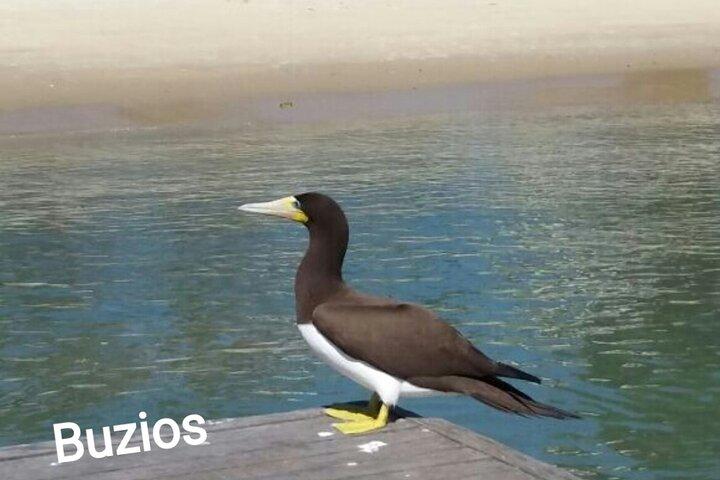 Transfer privado De Rio De Janeiro para Buzios
