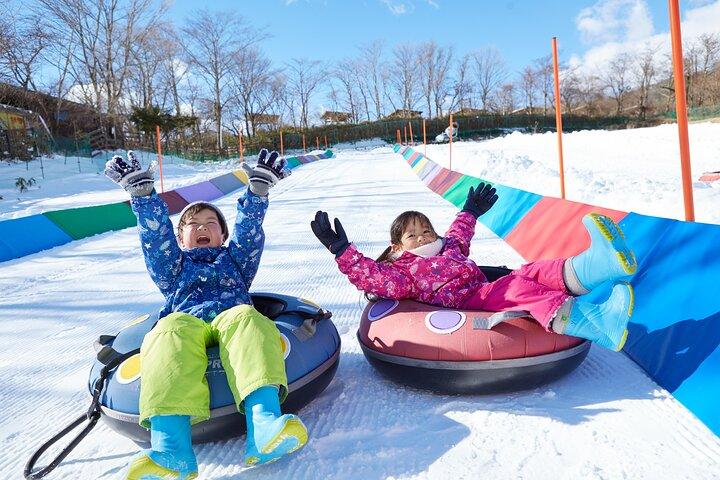Fujiyama Snow Resort Yeti Winter Ski Day Tour from Tokyo Japan