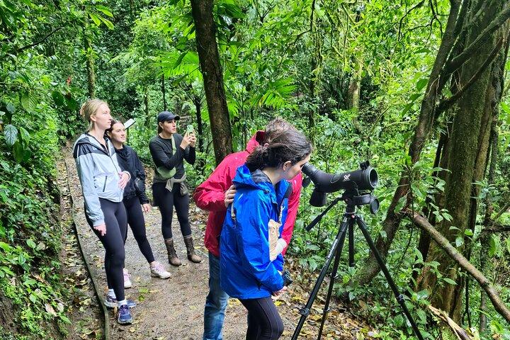 Cloud forest wonders guided tour