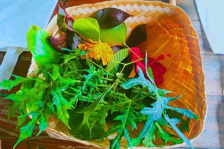 プライベート送迎付きバリカウラ子供アドベンチャーアクティビティ