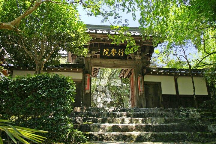 清水港から身延まで海岸小旅行、ディープカルチャーツアー