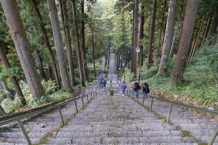 清水港から身延まで海岸小旅行、ディープカルチャーツアー