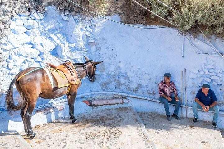 Santorini Absolute Day Tour: Explore a ilha em um dia