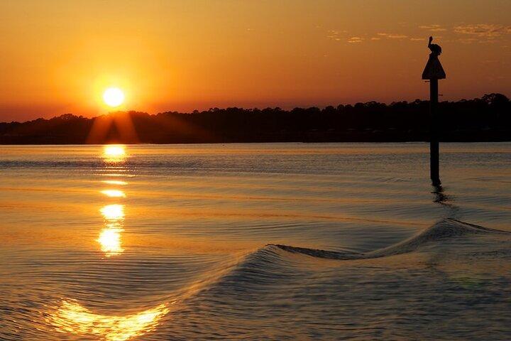Savannah Sunset Dolphin Eco Tour