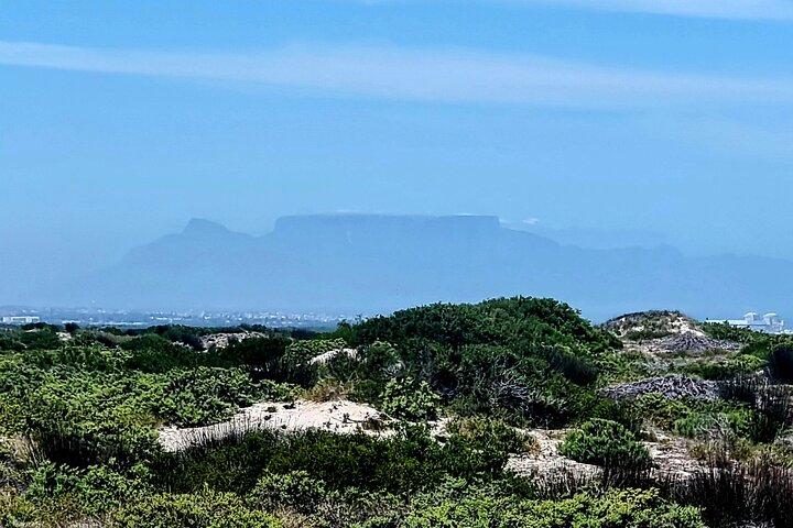 Birds Lovers At West Coast Western Cape