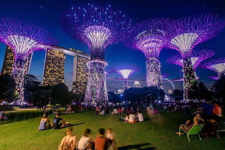 プライベート:リバークルーズと素晴らしい光のショーの魔法の夜