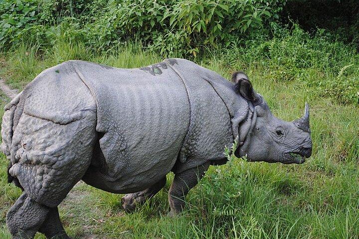 Viaggio in Nepal di 10 giorni per esplorare le migliori attrazioni e la cultura