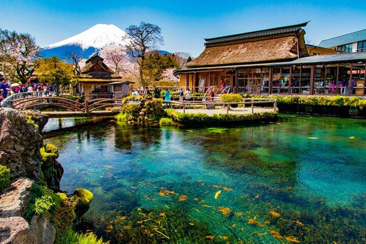 Fuji/Hakone Private Tour with English Guide & Fully Customizable