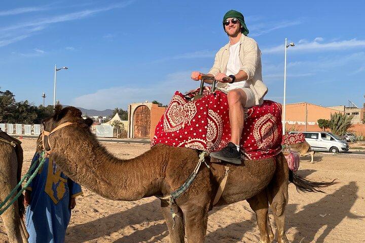 Agadir Experience: Matlagningskurs, kamelritt och marknadstur