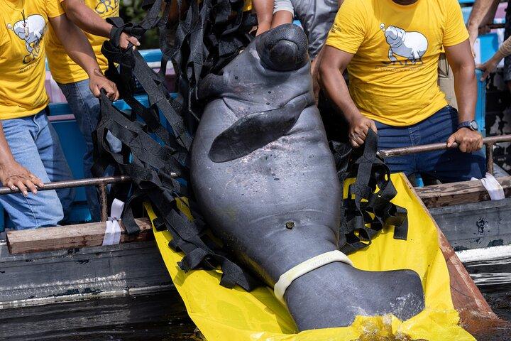 Amazon Rescue Center - Manatees Conservation Center Adgangskort