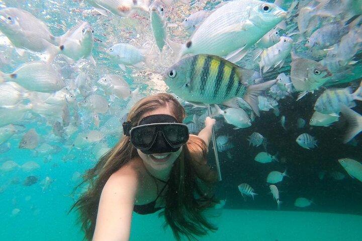 Excursion d'une journée à Angra dos Reis et Ilha Grande