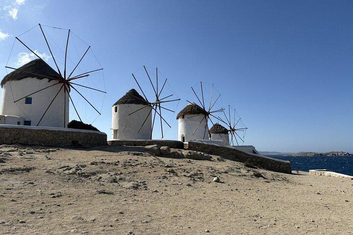 Mykonos Halvdags privat tur