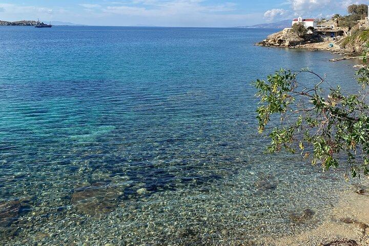 Mykonos Halvdags privat tur