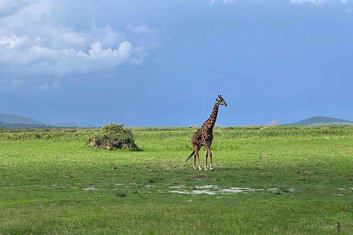 Endags Akagera Wildlife Safari