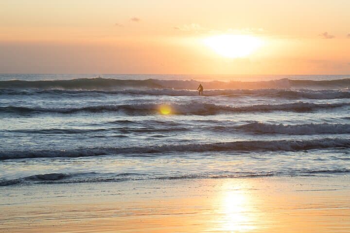 Piha Beach & Wilderness Nature : PRIVATE TOUR 7 hrs