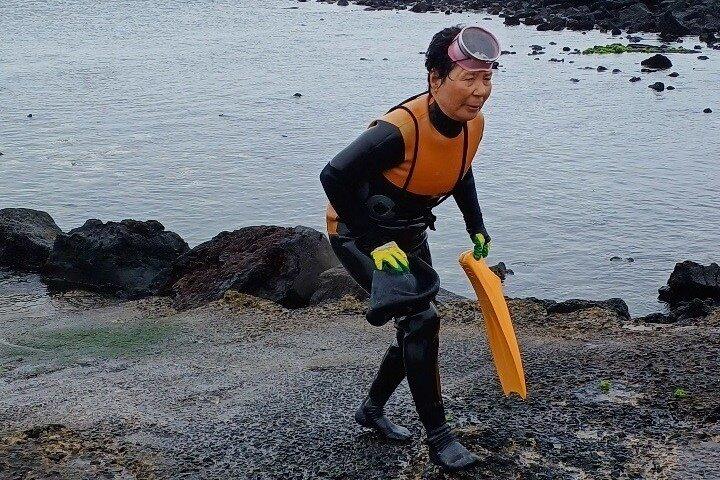 Jeju din måde (privat tur)