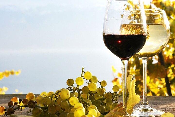 Tour privato di un giorno delle strade del vino di Nemea e Nauplia