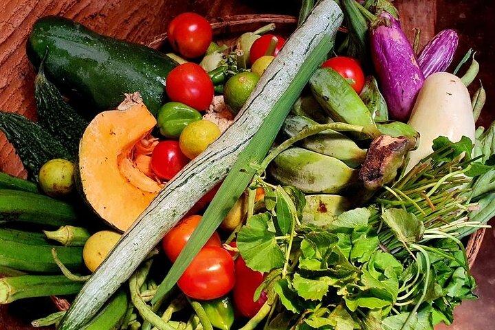 Galle Village Cooking Class di AGS