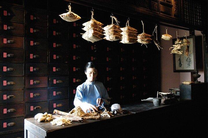 Vietnam: Fito Museum mit traditioneller Medizin