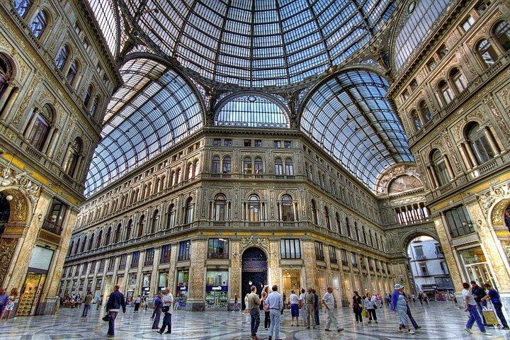 Escursione privata da Roma: Pompei e Napoli con pranzo incluso