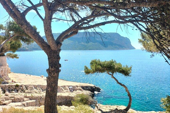 Halber Tag in Cassis : Bootsfahrt Calanques, lokale Vorspeisen und Wein