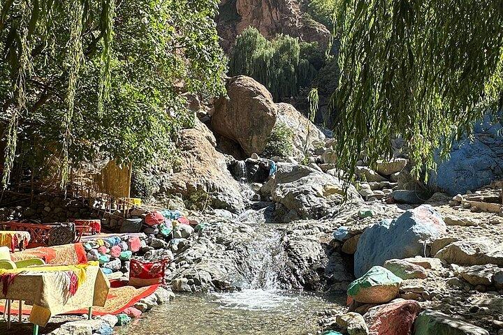 Marrakech: Atlas Mountains Ourika Valley cascade & Guide