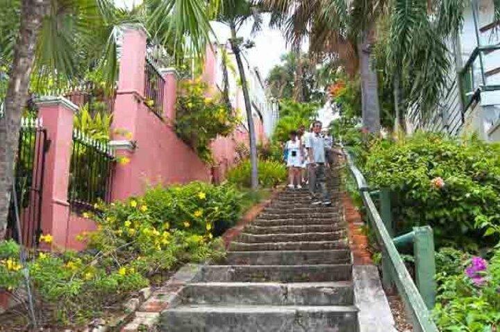 Island Tours din vej, din tid! 2, 4 eller 6 timer - St. Thomas USVI