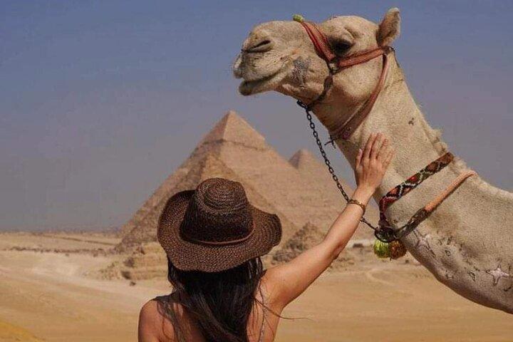 Private Day Tour Giza Pyramids,Grand Egyptian Museum,Local Lunch