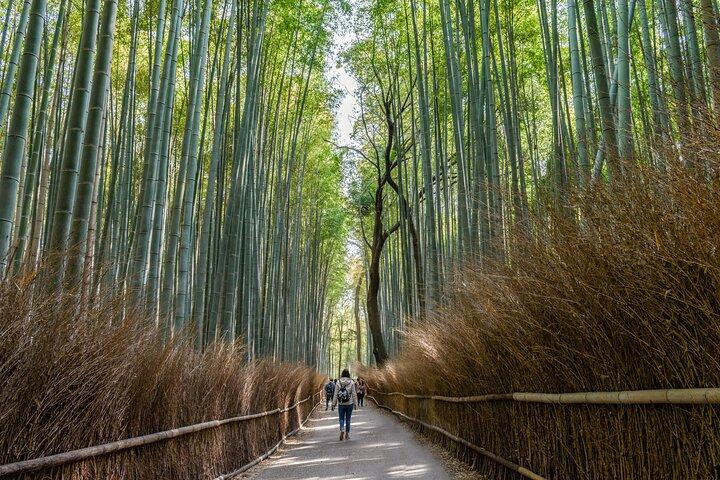 Skjulte templer i Kyoto en selvguidet Zen tur