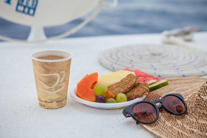 Los Cabos Whale Watching Adventure avec collations et boissons