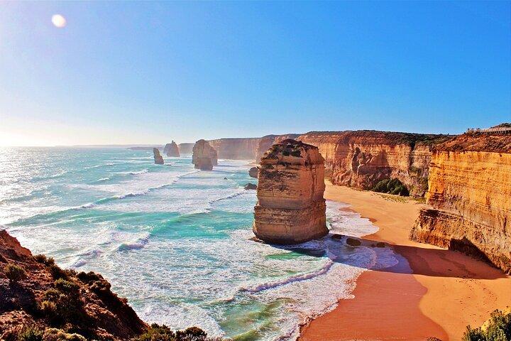 Melbourne: Explorez Great Ocean Road en visite privée