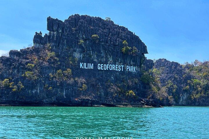 3 timmars Mangrove Tour med bonus Snorkling erfarenhet