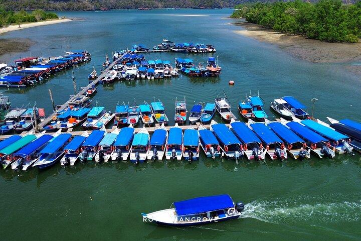 3 timmars Mangrove Tour med bonus Snorkling erfarenhet
