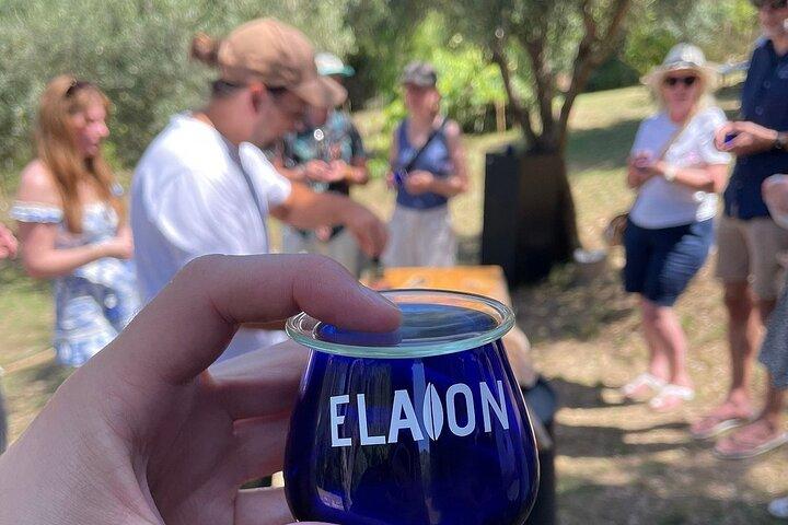 North Corfu Olive Tour com degustação de azeite e Meze