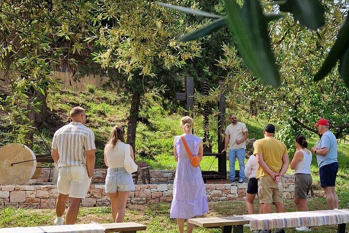 North Corfu Olive Tour com degustação de azeite e Meze