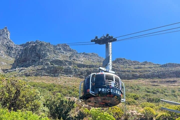 Kirstenbosch Botanical Garden and Table Mountain with Wine Tour