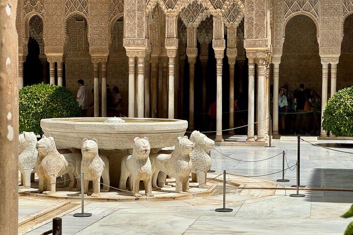 Madrid: Visite privée Découvrez Grenade et l'Alhambra