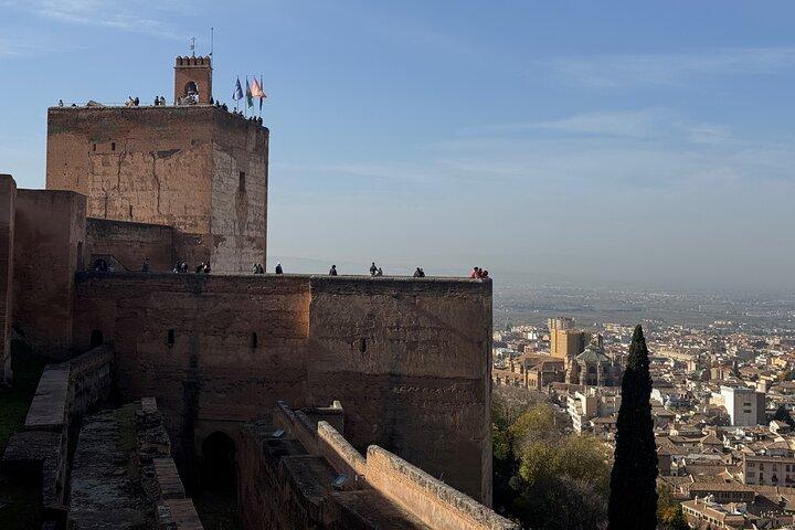 Madrid: Visite privée Découvrez Grenade et l'Alhambra
