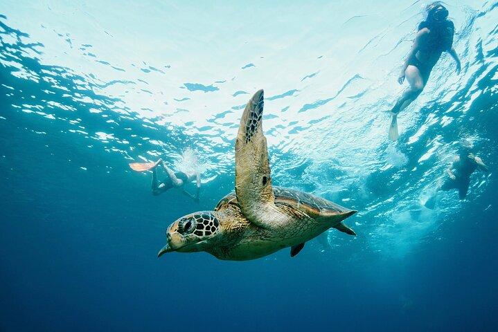 Excursión de un día a Nusa Penida: barco, 4 snorkeling, Mantarrayas y tour terrestre