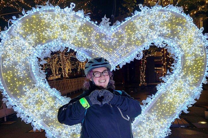 Tokyo Winter Illumination Ebike Tour
