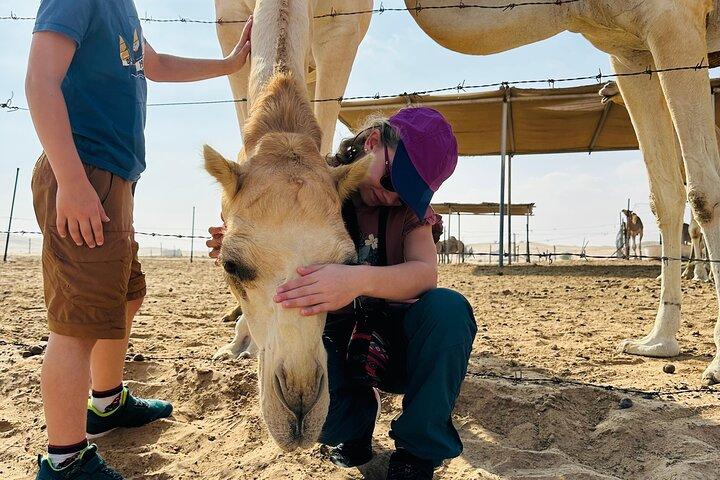 Abu Dhabi: Private Camel Trekking Experience