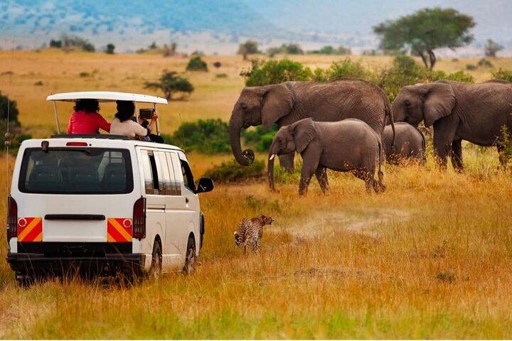 Safari di 9 giorni in Kenya Classic Lodge