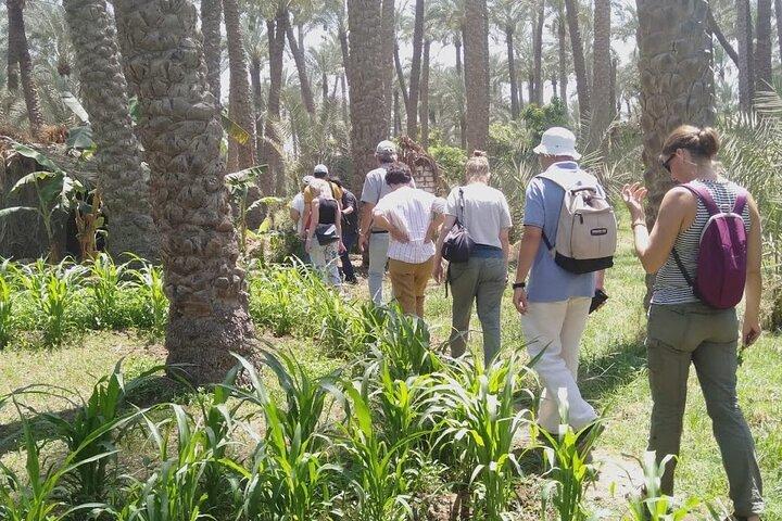 Private Tagestour nach Dahshour und Meidum