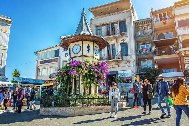 Princess Island (Büyükada)Tour with Lunch and Island Shuttle Trip