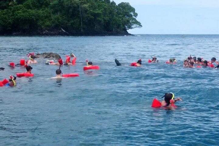 クジラとイルカのシュノーケリング、ツアーマヌエルアントニオ