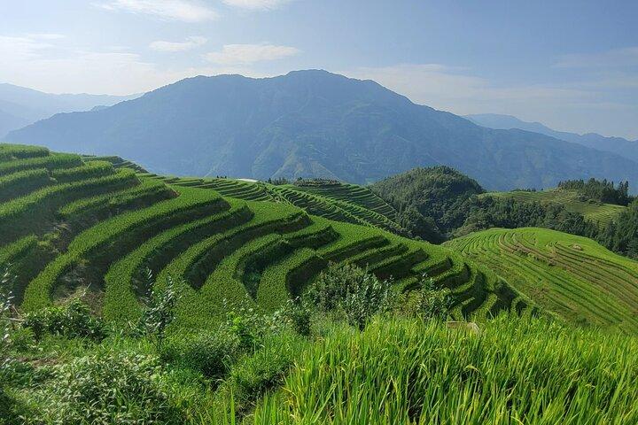 Tour di 1 giorno delle terrazze di riso Longji dall'aeroporto / stazione ferroviaria di Guilin