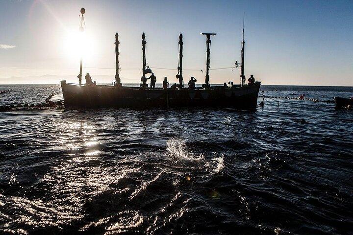 Barbate Almadraba Bluefin Tour