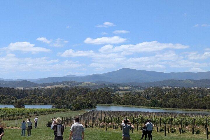 Visite de la vallée de Yarra avec porto