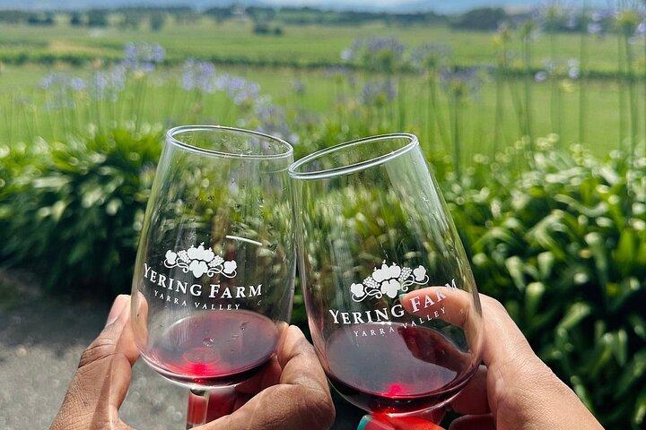 Visite de la vallée de Yarra avec porto