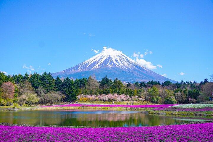 Från Yokohama hamn: Fuji 5th Station & Kawaguchiko privat tur